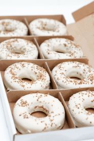 LoLo Gourmet Donut – Vanilla Flavor (Bulk)