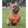 Hawaiian Trim Choke-Free Dog Harness – American River