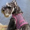 Under the Sea Ocean Print Cool Mesh Dog Harness