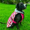 Alpine Performance All-Weather Dog Coat