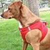 Choke-Free Dog Harness – American River Solid Design