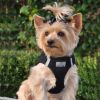 Choke-Free Dog Harness – American River Solid Design