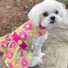 Dog Dress with Citrus Slice Design and Matching Leash
