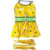 Adorable Ladybugs & Daisies Dog Dress with Coordinated Leash