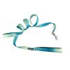 Stylish Ombre Dog Leash – American River
