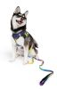 Stylish Ombre Dog Leash – American River