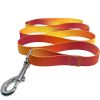 Stylish Ombre Dog Leash – American River