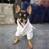 Luxury White Silver Tiara Cotton Dog Bathrobe