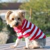Preppy Striped Dog Polo Shirt